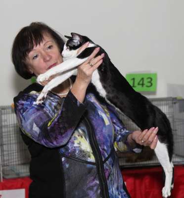 �������� ����� '������� ���-�����' 30 ������-1 ������� 2013., ������������ ��� 4111